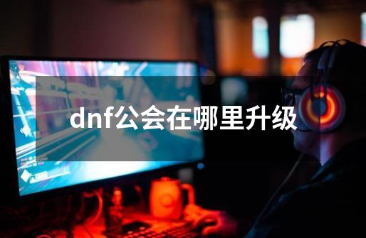 dnf公会在哪里升级-第1张-游戏相关-八六二网