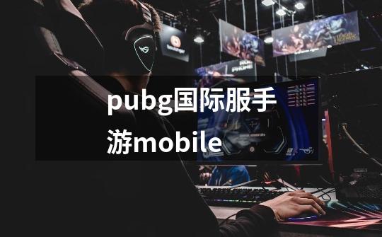 pubg国际服手游mobile-第1张-游戏相关-八六二网